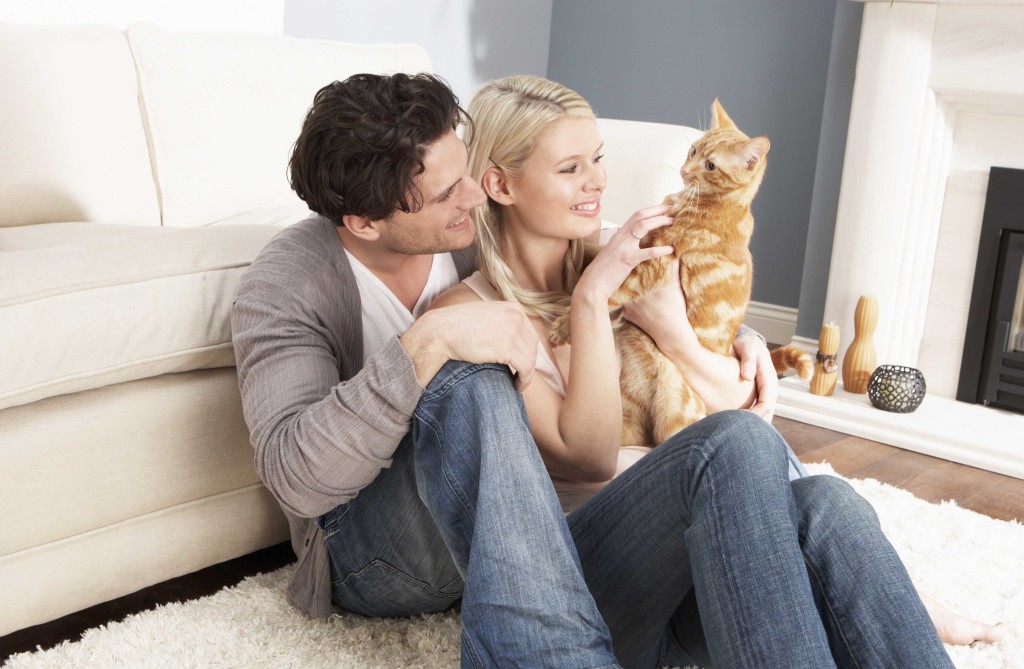 Как ухаживать за домашней кошкой: секреты профессионалов