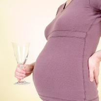 Алкоголь во время беременности влияет на фертильность ребенка