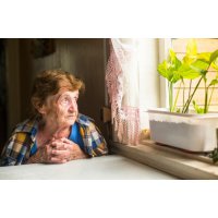 Дом престарелых: плюсы и минусы