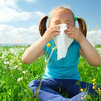 Поллиноз у ребенка – аллергия на пыльцу. Симптомы и лечение