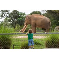 Зоопарки и зверинцы Подмосковья: куда пойти с ребенком