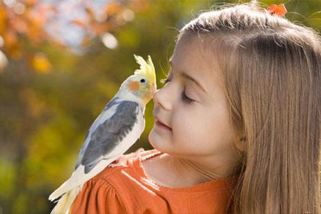 Девочка и попугай