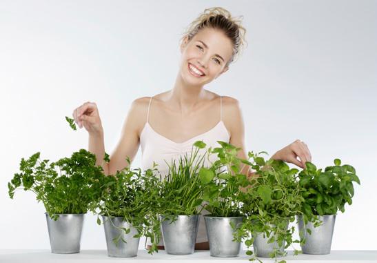 Как выращивать зелень дома