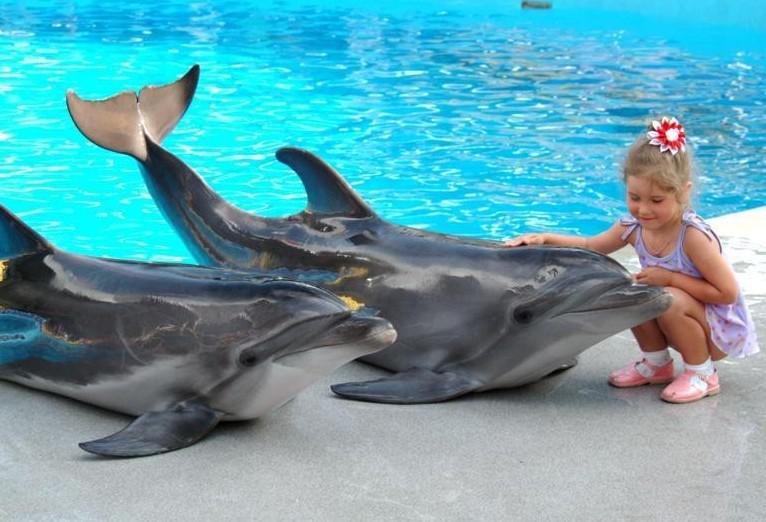 Поход с ребенком в дельфинарий
