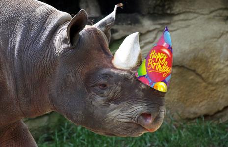 Тематический день рождения «Зоопарк»