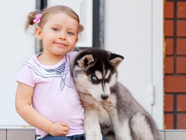 Топ-7 самых дружелюбных пород собак для детей