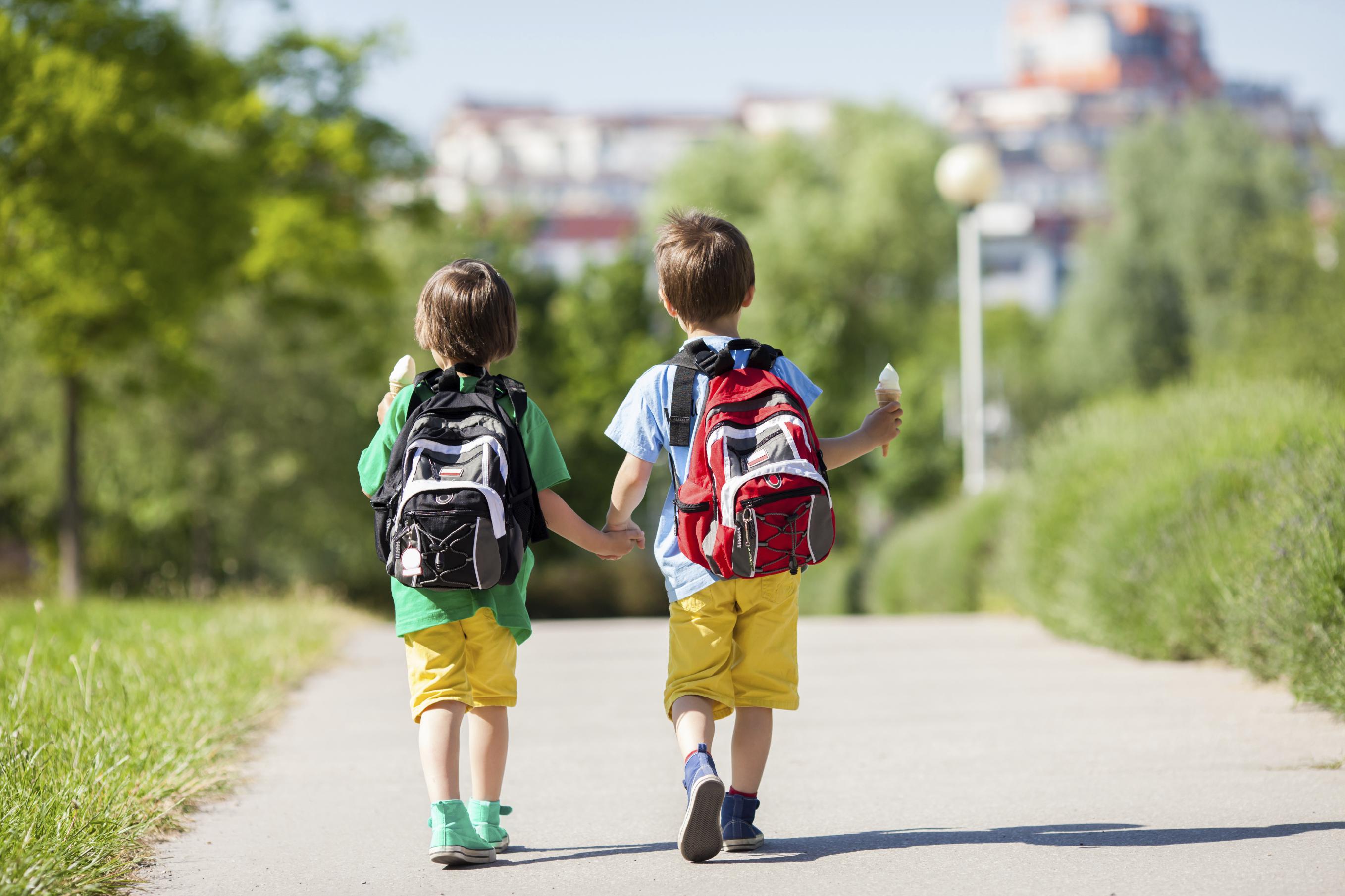 Гулять после школы. Прогулки с малышом. Школьники гуляют. Два мальчика идут в школу. Дети на прогулке.