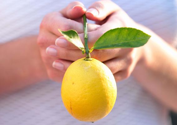 Рецепты использования лимона для ногтей
