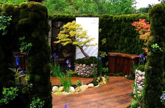 Садовый мох: как украсить сад с помощью мха