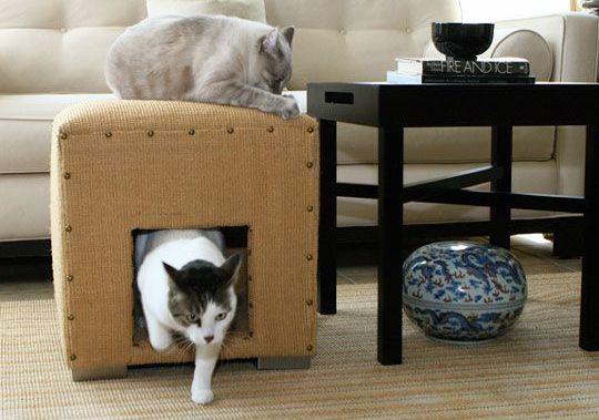 Как сделать домик для кошки: идеи