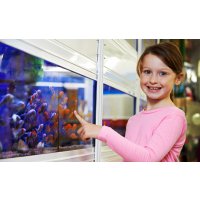 Аквариум для детей: как выбрать первых рыбок
