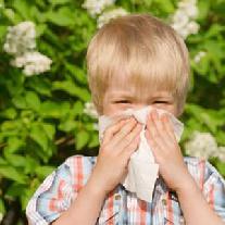 Аллергия у детей. Поллиноз.