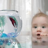 Что нужно знать, приобретая аквариум для ребенка