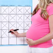 Что такое акушерский срок беременности