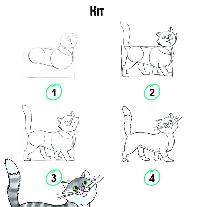 Как нарисовать кота