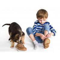 Как правильно выбрать ортопедическую обувь для детей