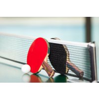 Как выбрать стол для игры настольный теннис
