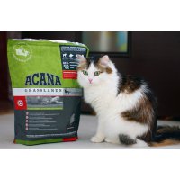 Корм для кошек Acana по лучшей цене в интернет-магазине «Тоба»