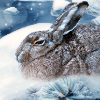 Новогодние поздравления с годом кролика