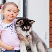 Топ-7 самых дружелюбных пород собак для детей