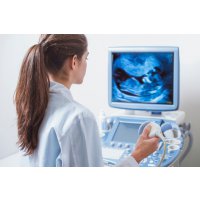 Триместры беременности: как развивается ребенок