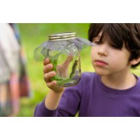 Воспитание уважение к природе у детей: 6 советов