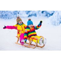 Зимний детский транспорт: что лучше выбрать